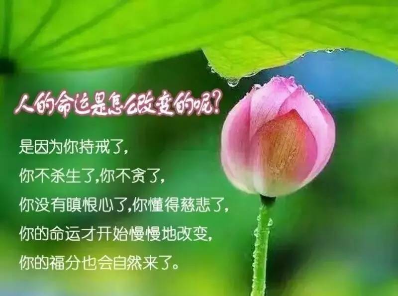 感恩吃素 明天农历六月初三!韦驮菩萨圣诞!大家一起来