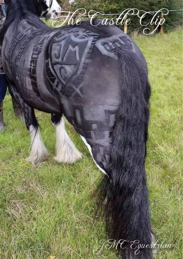 英国艺术家徒手为马匹修剪艺术发型