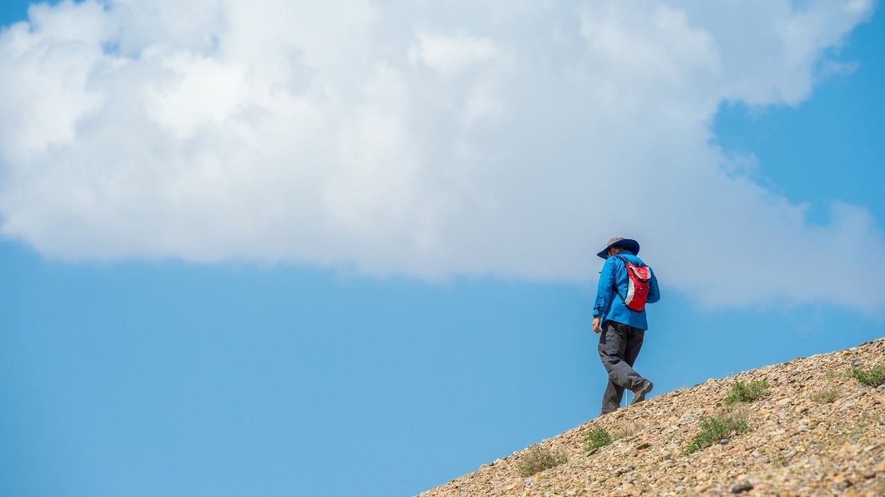 t=trekking pole正确使用登山杖