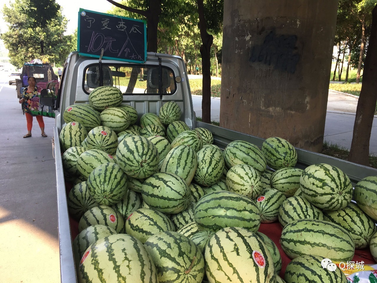 吃瓜群众看这里重庆9大摘西瓜地推荐