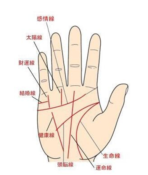 第一:财运线非常清晰