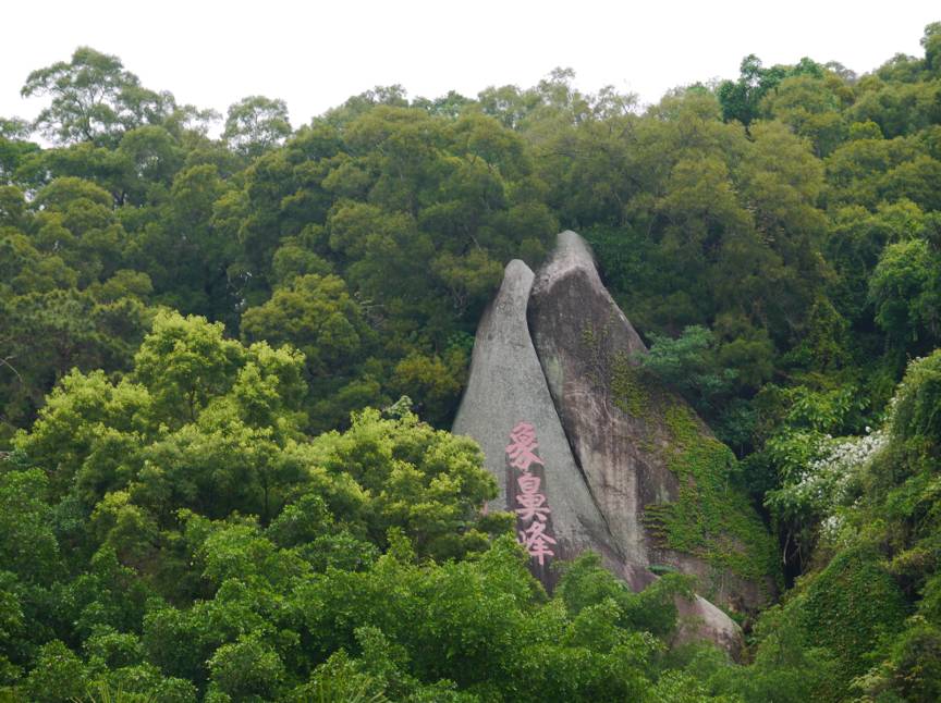 仙岳山