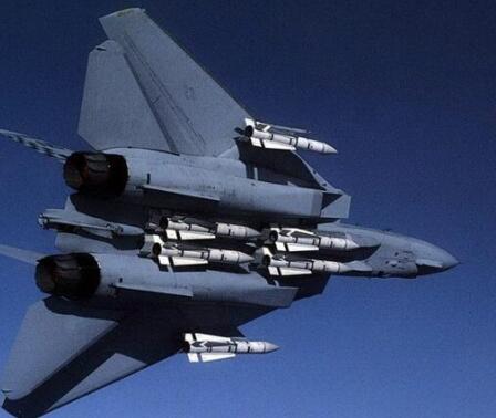 携带6枚"不死鸟"空空导弹是f14的典型标配