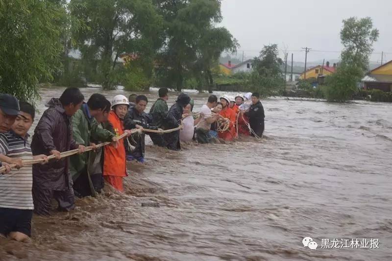 洪水无情人有情 众志成城化险情——苇河林区抗洪救灾