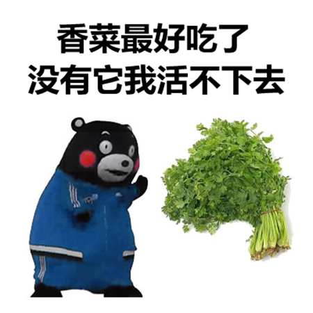 口味不同表情包香菜榴莲大蒜葱你喜欢吃吗