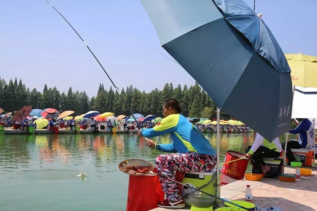 40℃高温点燃赛场热情,江苏省首届垂钓俱乐部联赛(高淳站)火热开赛