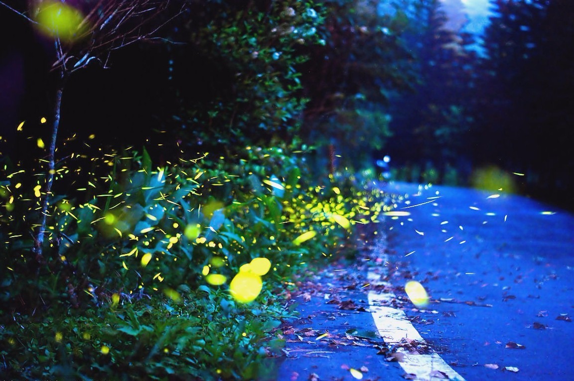 童年的印记,乡村的夏夜,宁静而美丽.