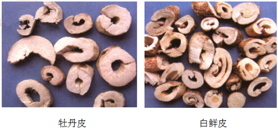 牡丹皮的选购技巧不能再全了