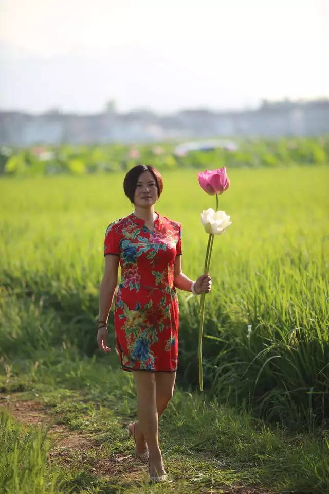 炎炎夏日,荷花美女在这儿等你!