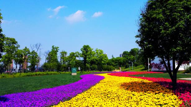 你无法想象这个季节的北海道有多美