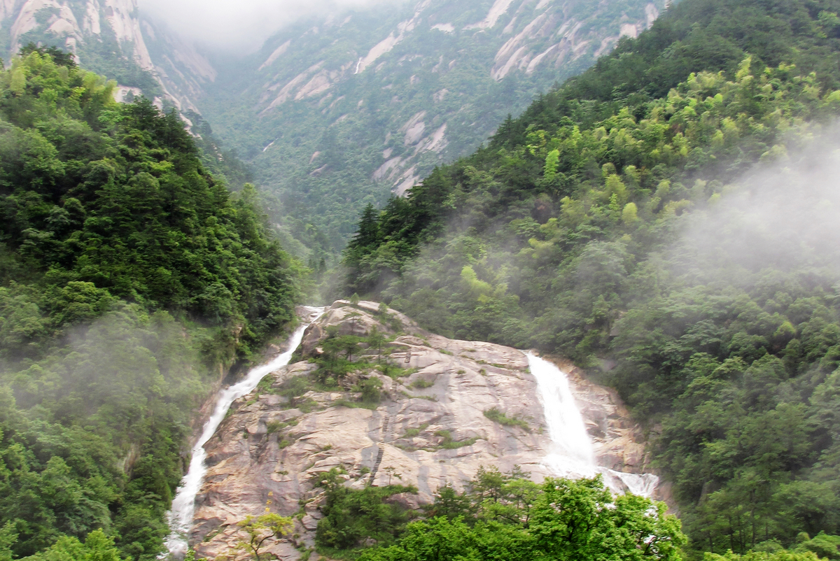 生态黄山树影摇曳生姿泉水清澈流淌