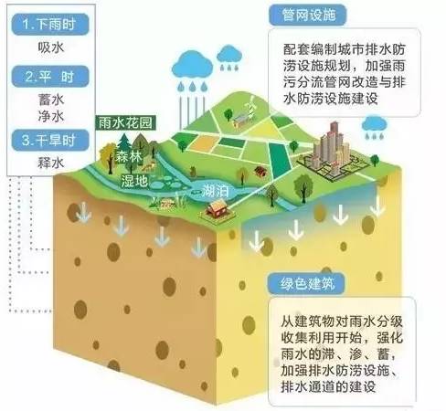 2019石家庄人口_2019河北石家庄市节能监察中心招3人(2)