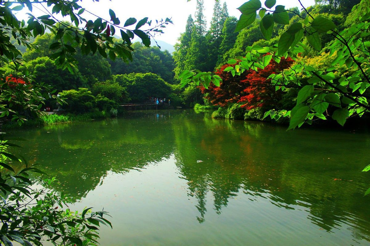 西湖美景三月天简谱_情人节后 最适合情侣的牵手旅行地(2)