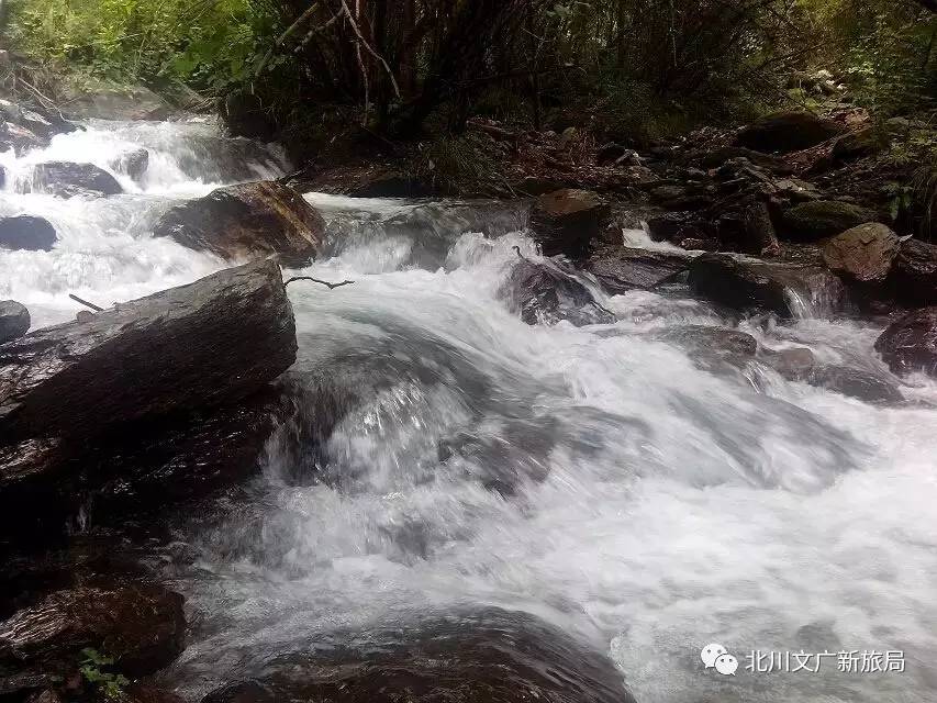 路线:绵阳—北川新县城—禹里镇—片口乡—竹林沟自然保护区