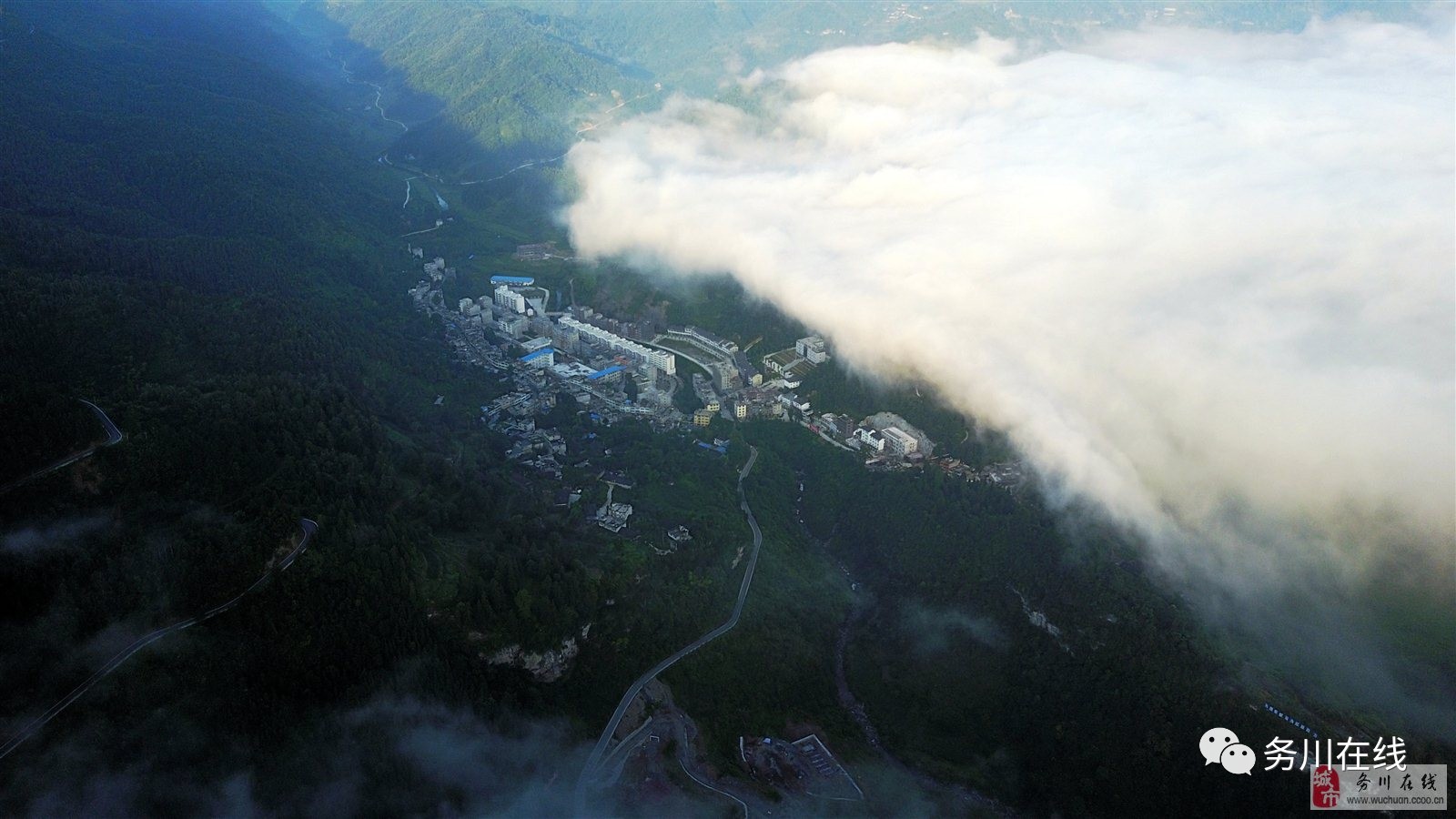 务川县红丝乡上坝村,在当地政府的正确领导下,大力发展油茶种植产业