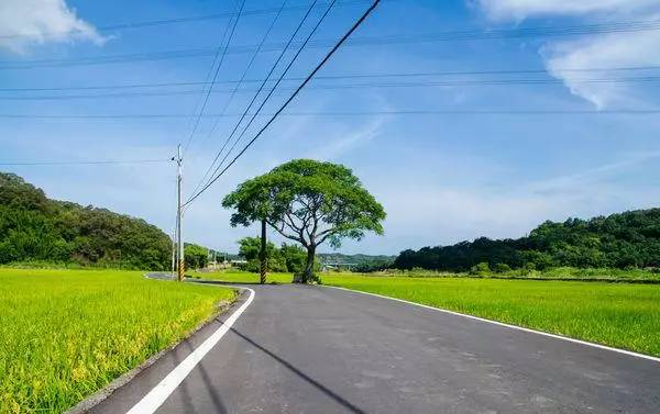 苗栗伯朗大道 西湖乡「伯朗大道 位在苗栗县下埔村与四湖村交界