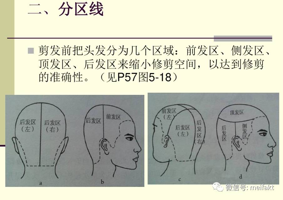 剪发基本慨念头型的线条