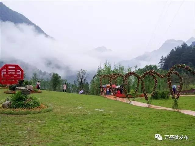 【旅游】避暑何必长途奔波,万盛百花谷让你清凉一"夏"