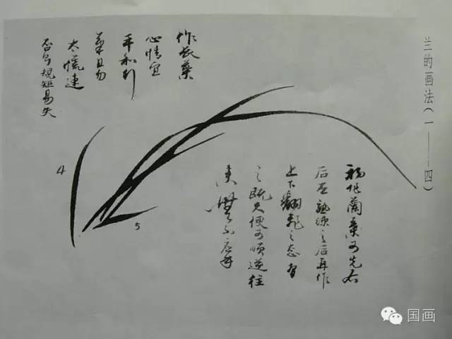 兰花是这样画出来的 画兰技法精解