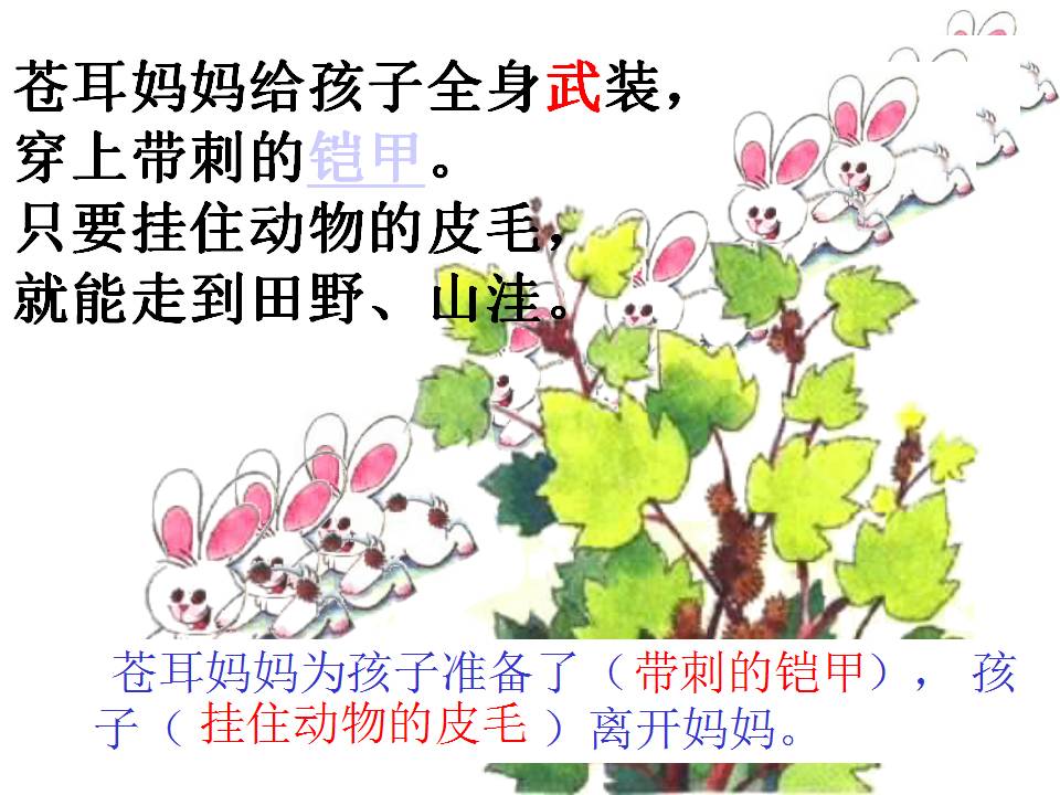 去你nn的部编二年级语文上册第三课《植物妈妈有办法》ppt课件