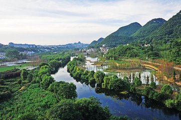 赤水gdp_贵州森林覆盖率最高的一座城市,被誉为 桫椤王国(3)