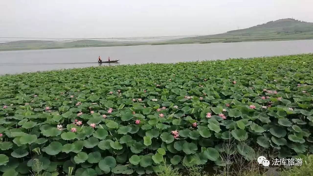 灵山湖景区—东湖新城—沈阳通用航空产业基地61财湖61财宫