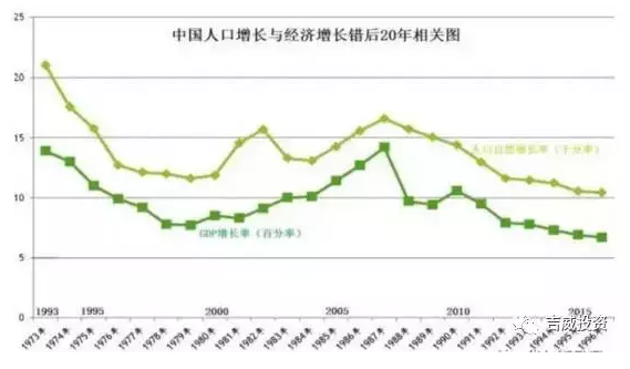 未来人口政策_猪年出生人口会不会增多 对未来人口及人口政策的展望(3)