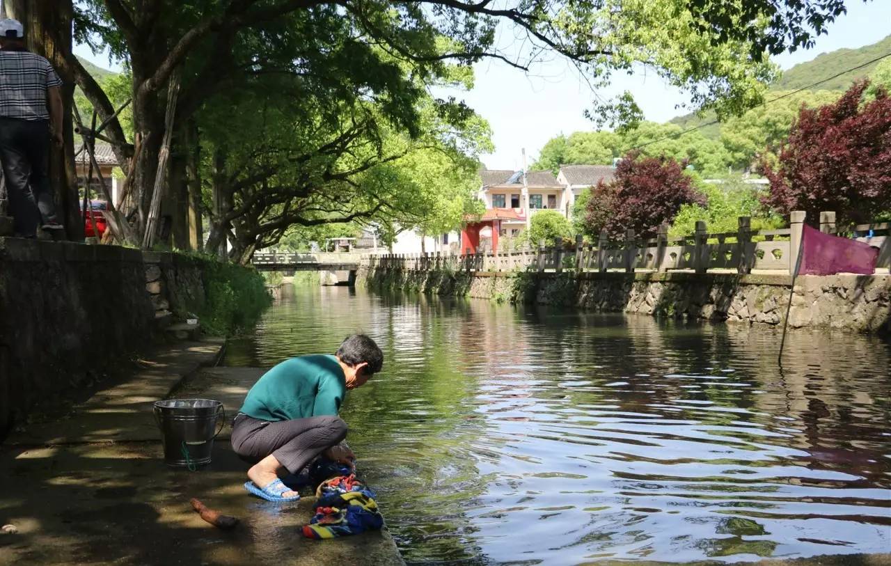 芦浦村の夏有山有海有酒有肉有诗意