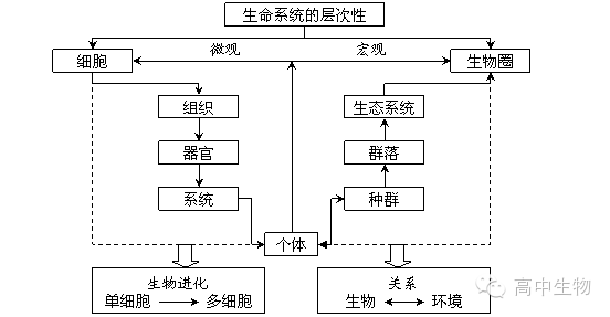 高中生物教案范文_说课稿范文 生物_生物教案