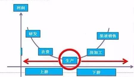 农产品加工业品牌—农业产业链价值高点,快快占位!