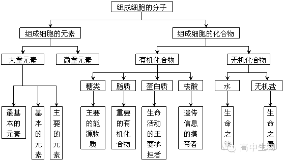 三,各节子概念图:第1节 细胞中的元素和化合物2.1.