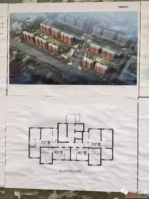 西集镇人口_西集镇人口普查宣传工作圆满完成