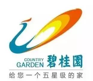 碧桂园logo演变动画