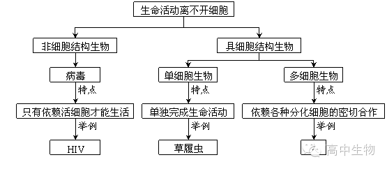 说课稿范文 生物_高中生物教案范文_生物教案