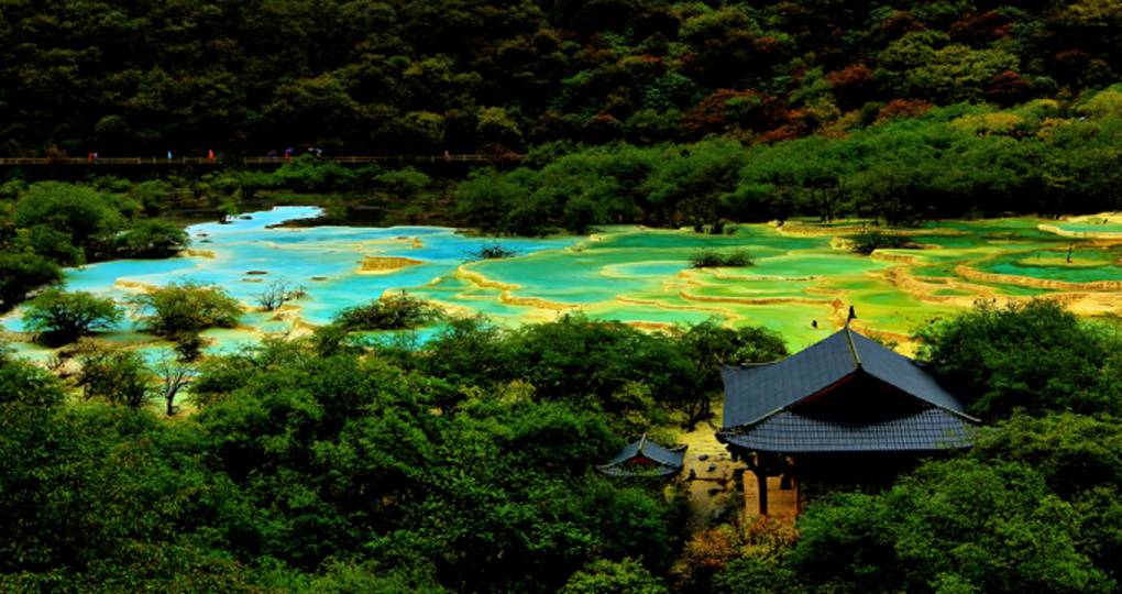 中旅总社综合旅游中心四川成都 九寨沟 黄龙风景区成都大熊猫基地