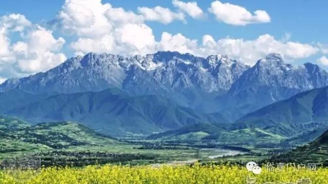 太子山风景