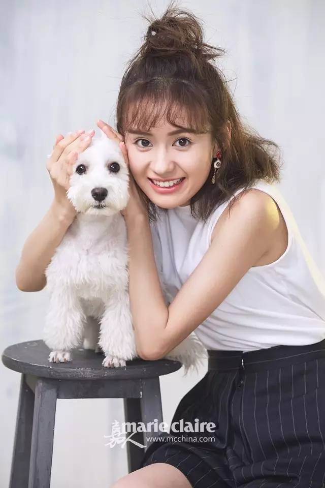 "动物系女友"郑合惠子上线啦!犬系v.s猫系你站谁|明星班主任