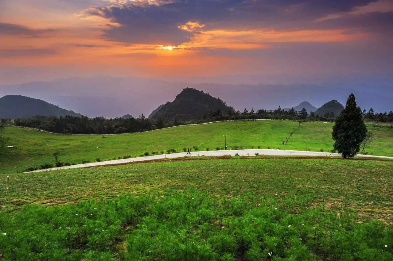 旅游 正文 岐山草场位于云阳县最南部 景区面积12.5平方公里.