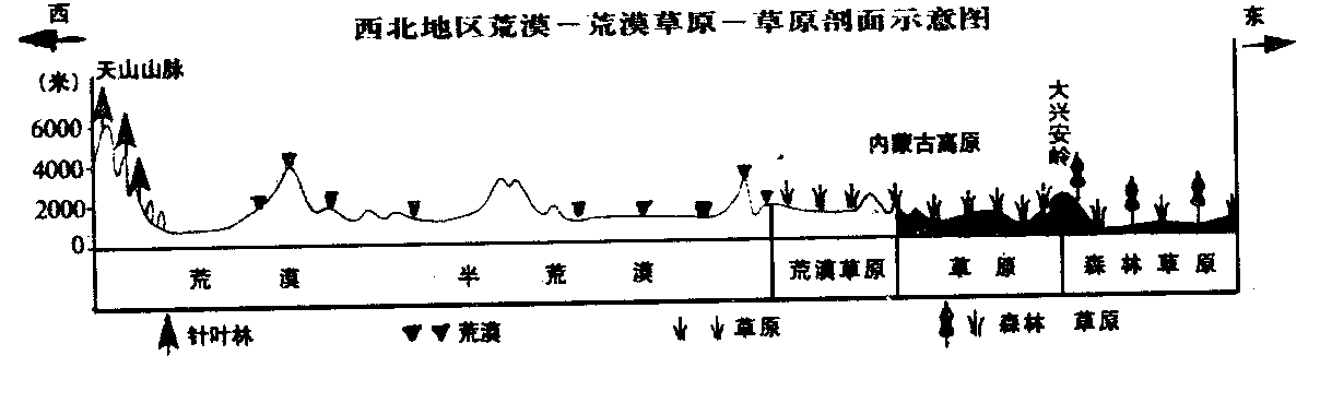 少数民族人口比例_图表1:五次人口普查少数民族人口数及占全国总人口的比例(3)