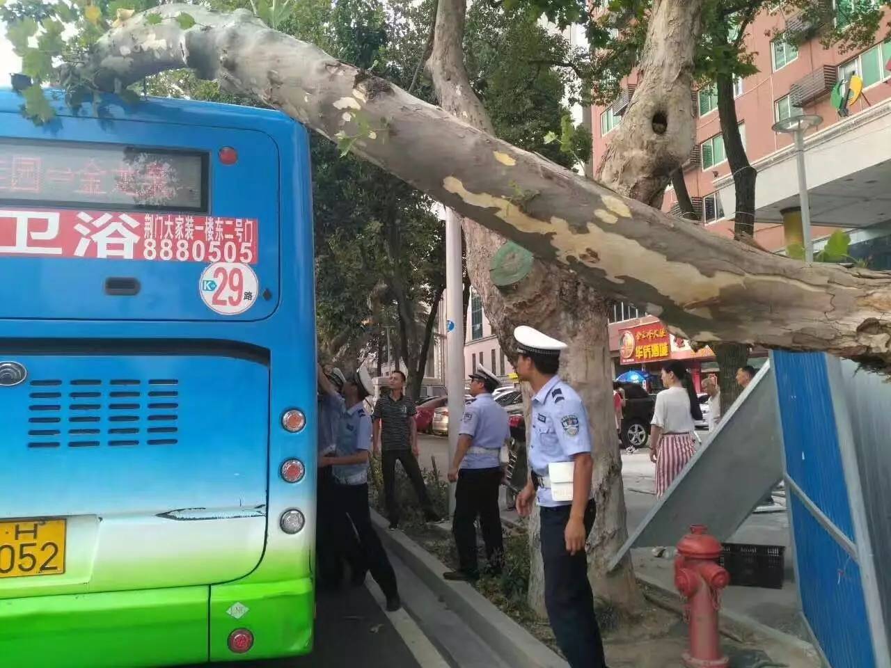 惊险!荆门一公交车正常行驶,突然一声巨响,树倒在了车顶上!幸亏