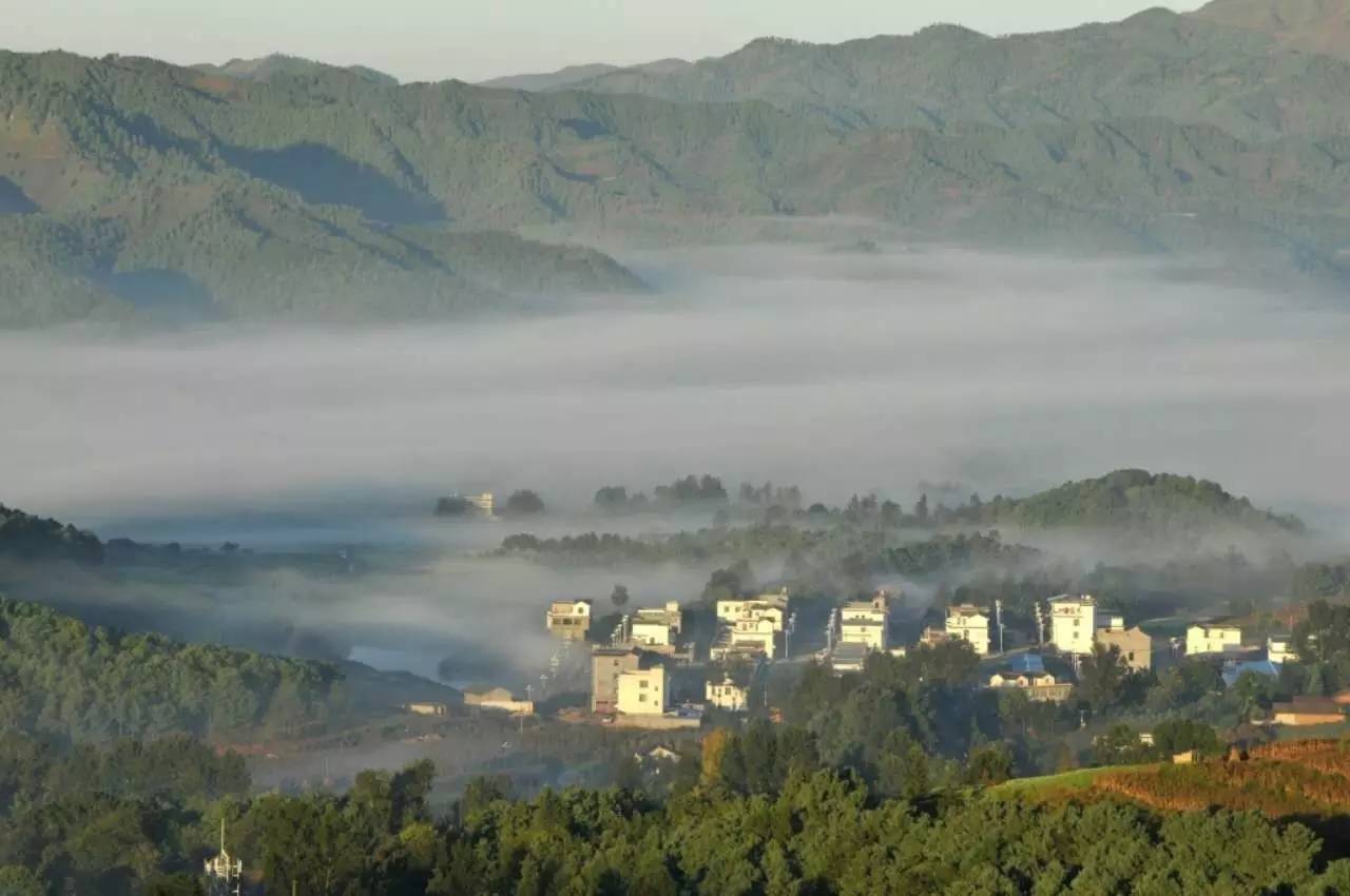 会泽人口有多少_会泽大海草山