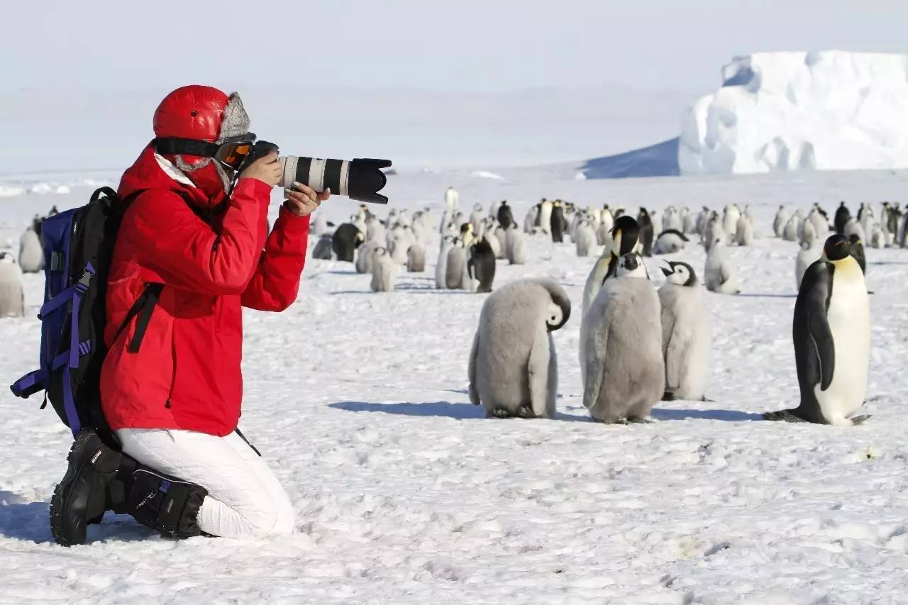 南极探险，怎样“拉仇恨”?
