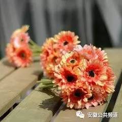 扶郎花怎么包混搭花束_榴莲花束怎么包