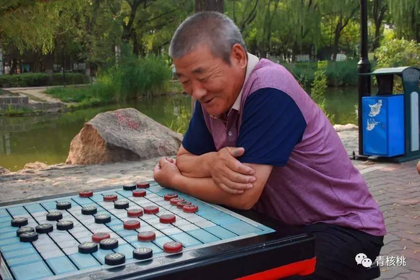 1,下象棋