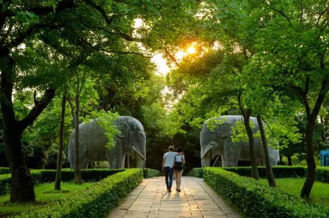 钟山风景区虽又名东郊风景区,不过离市中心很近,南京人更喜欢将钟山称