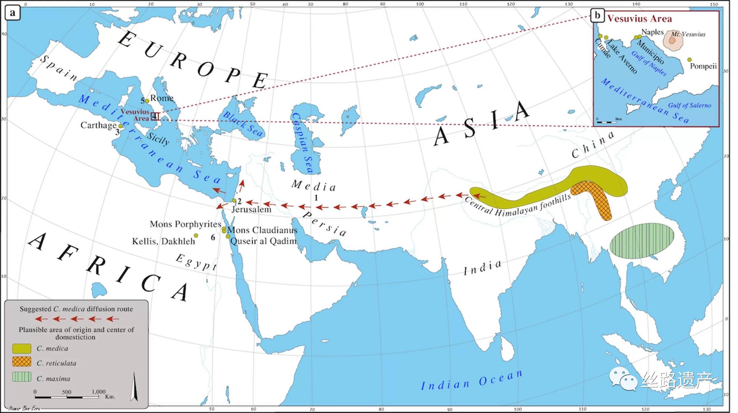 地中海地区地图