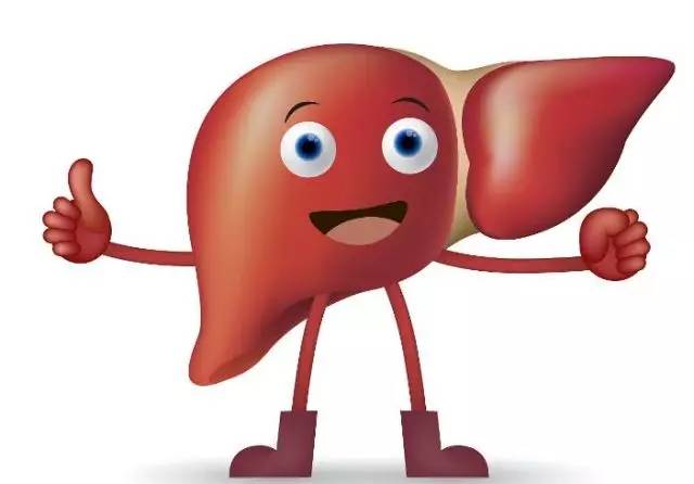 无论是什么"护肝"产品,吃进去一样需要肝脏代谢,增加肝脏的负担.