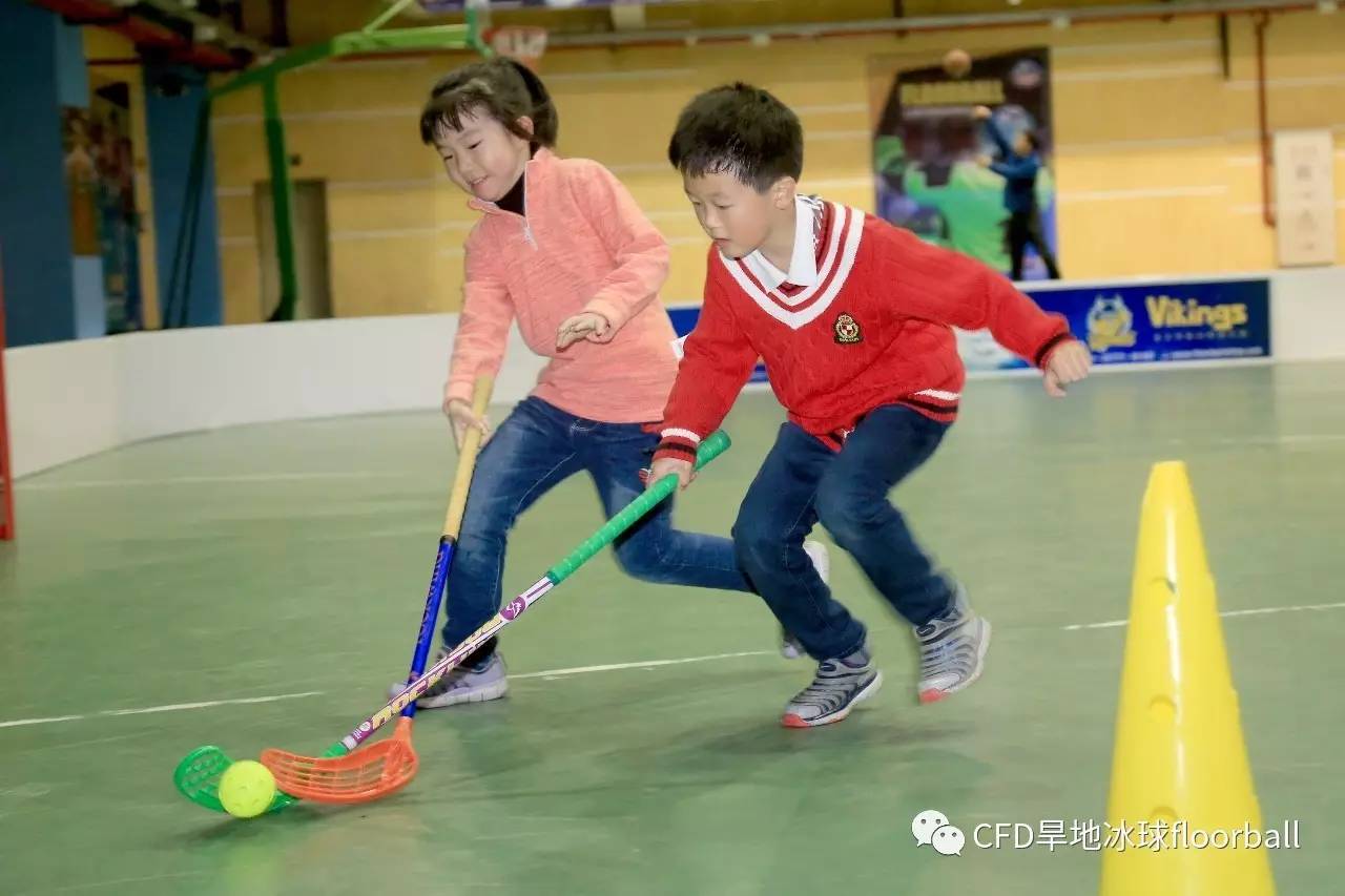 招募| 上海市青少年旱地冰球公益培训