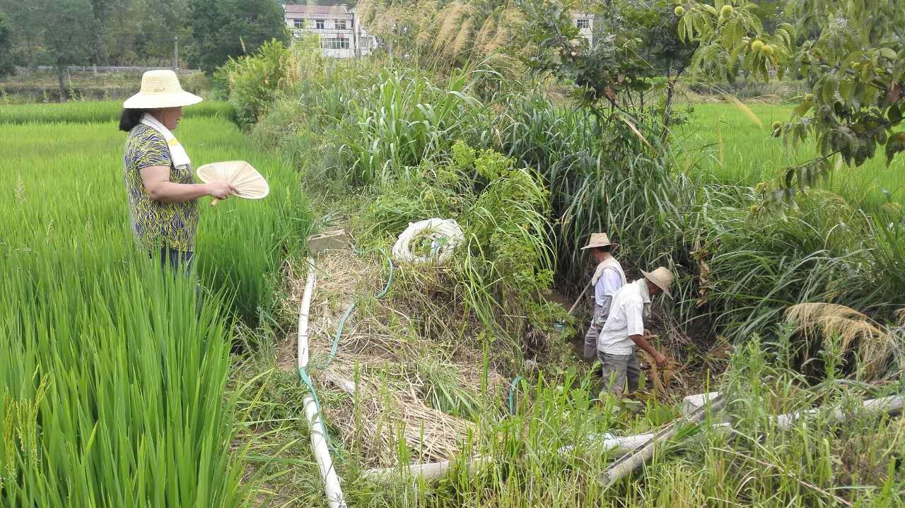 白庙河镇人口_人口普查