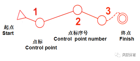 定向运动小课堂(四)